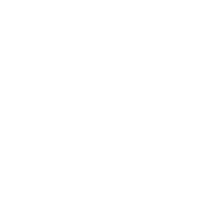 Dolphin Sataya