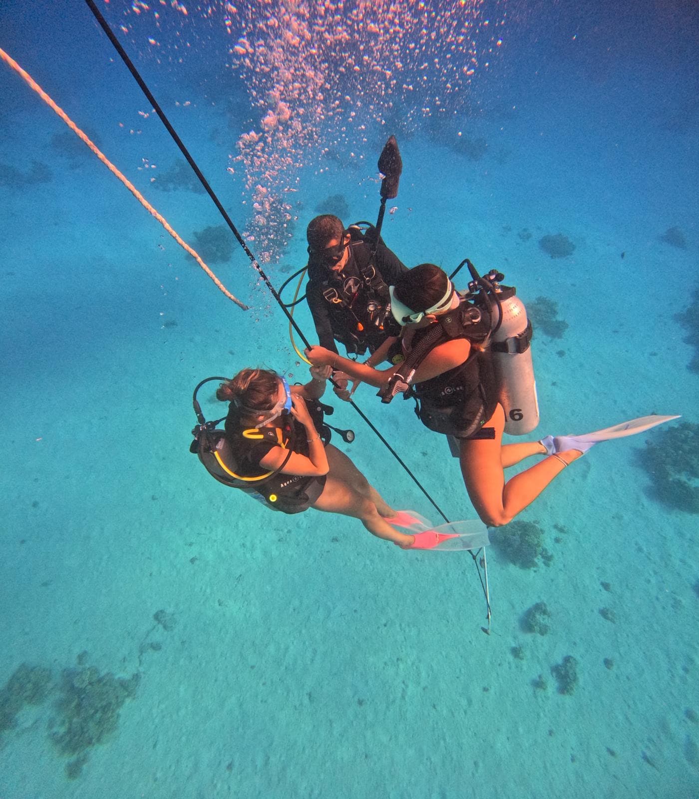 Certified Guides & Instructors