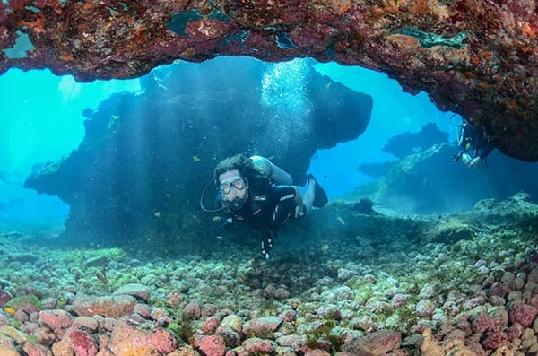 Exceptional diving